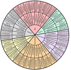 feelings-wheel-300x295 "¿Y tú siempre estás alegre?"